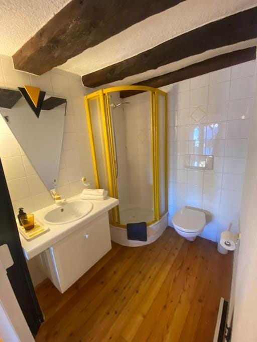 Shower, Toilet, Bathroom, towels