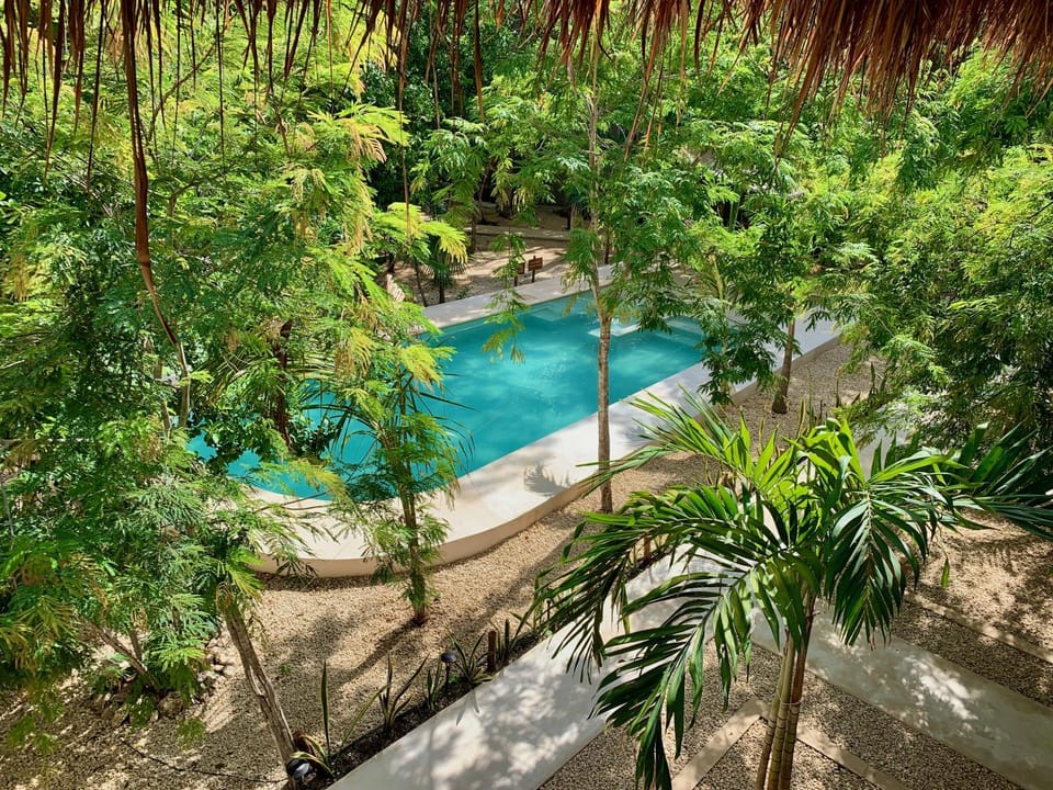 Natural landscape, Garden, Garden view, Pool view, Swimming pool