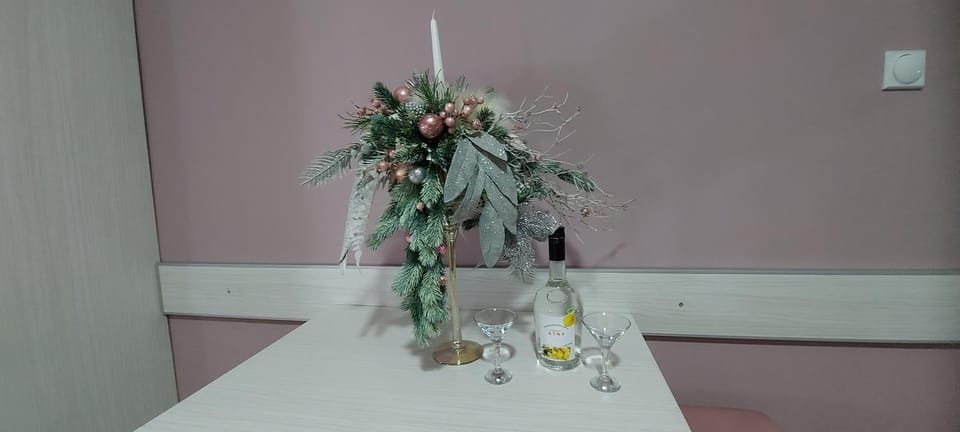 KOSA APARTMAN Apartment in Serbia