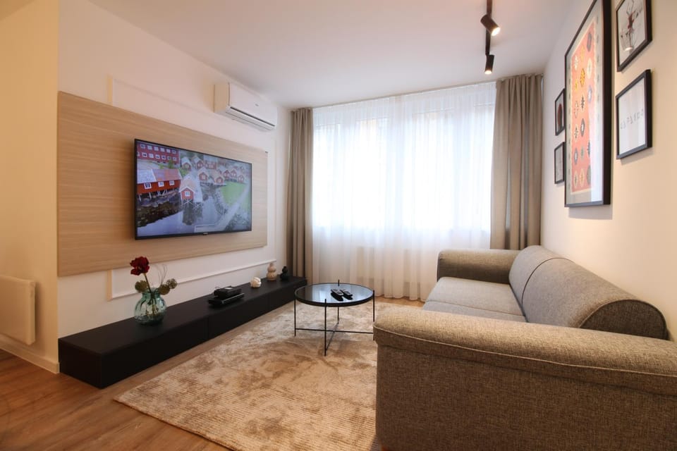 TV and multimedia, Living room, Seating area, air conditioner