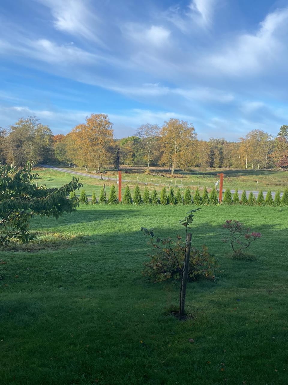 Natural landscape, Garden