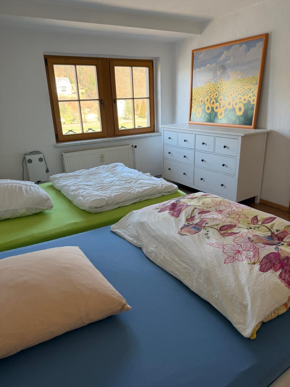 Elbblick Apartment in Sächsische Schweiz-Osterzgebirge
