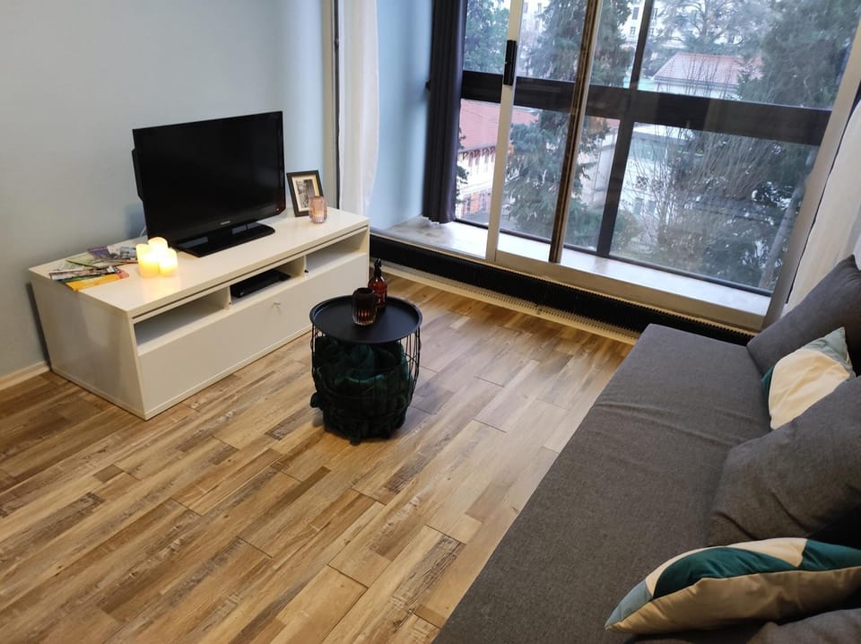 Cocon au cœur des thermes Apartment in Clermont-Ferrand