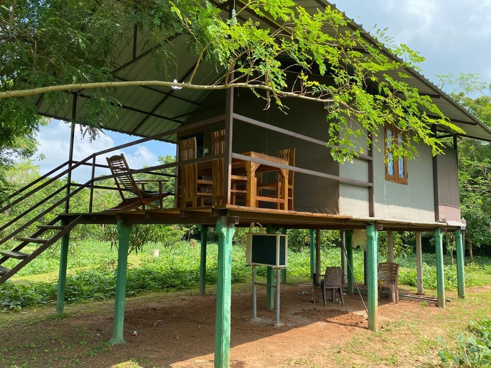 Property building, Breakfast