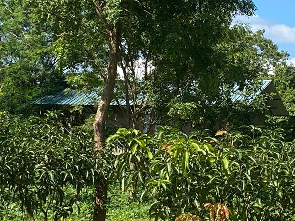 Garden, Garden view