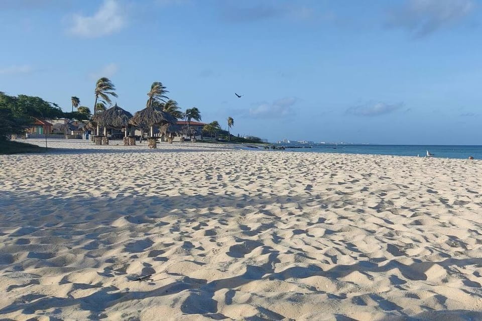 Palm Beach Paradise Vacation Rental Apartment in Noord