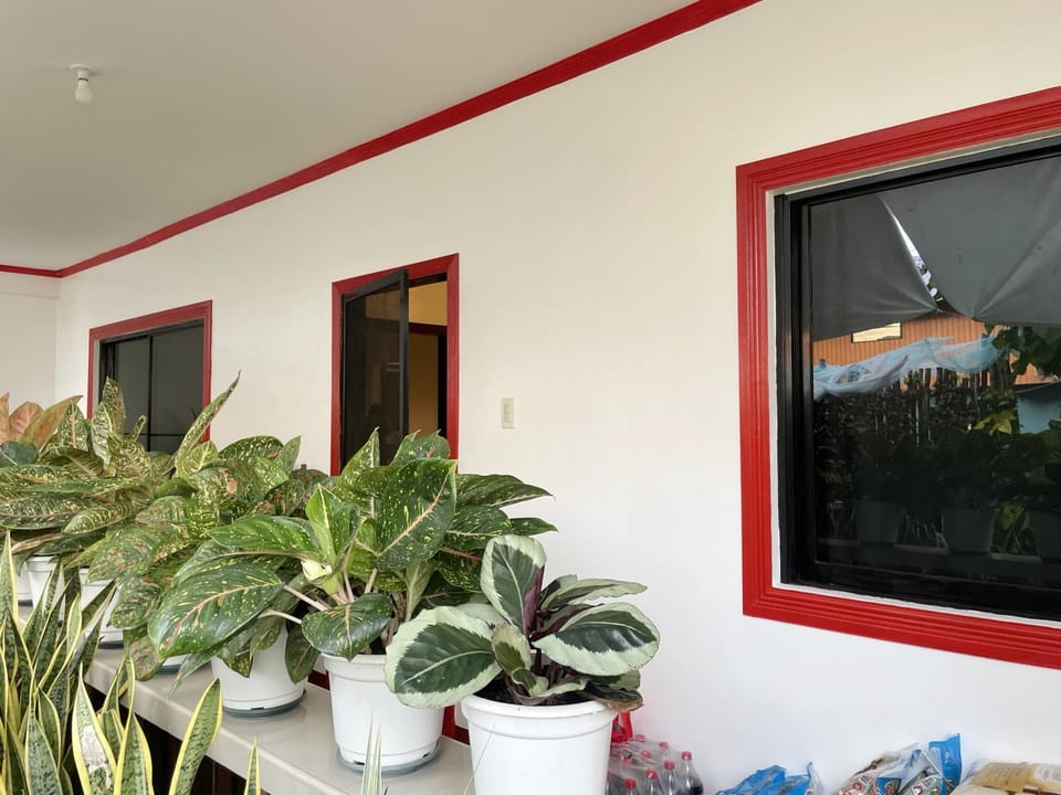 Day, Garden, Garden view