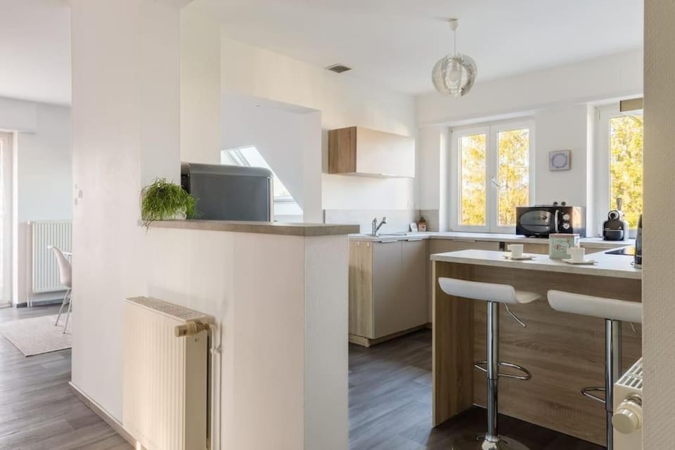 APPARTEMENT climatisé 70 m2, proximité de COLMAR Apartment in Grand Est