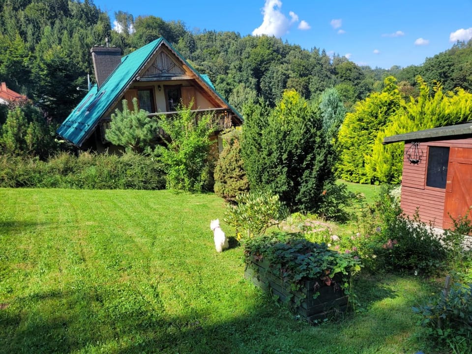 Dom w Górach Sowich Niedźwiedzia Gawra, Michałkowa House in Lower Silesian Voivodeship