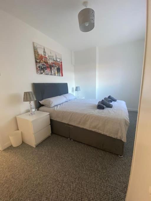 Modern Two Bed House Close To City Centre Apartment in Belfast