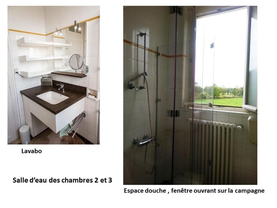 Shower