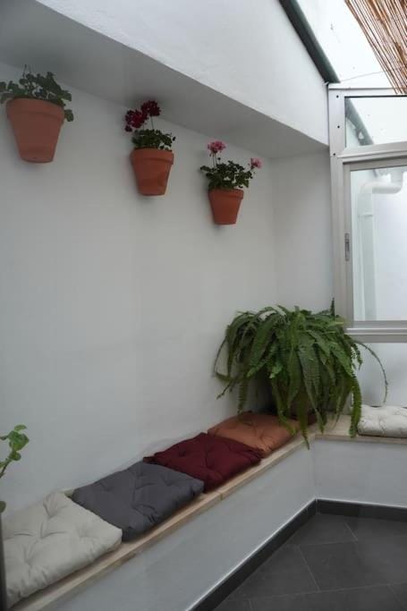 Patio, Seating area