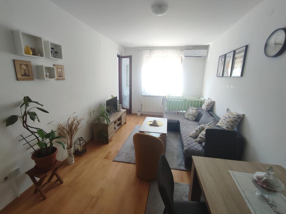 Apartman Tanja Apartment in Vojvodina