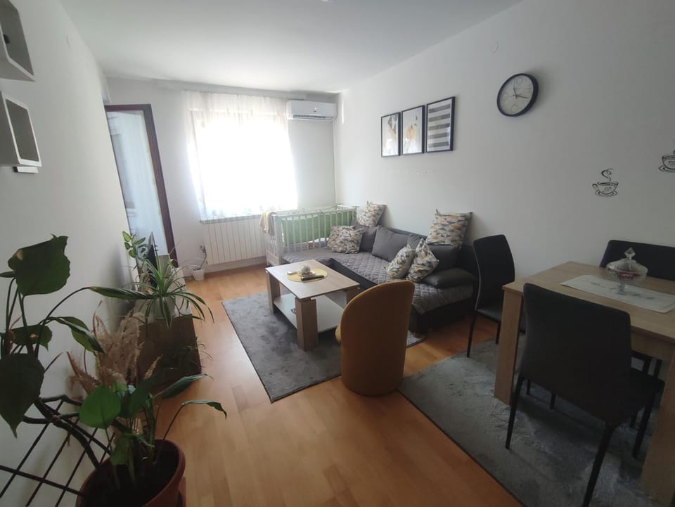 Apartman Tanja Apartment in Vojvodina