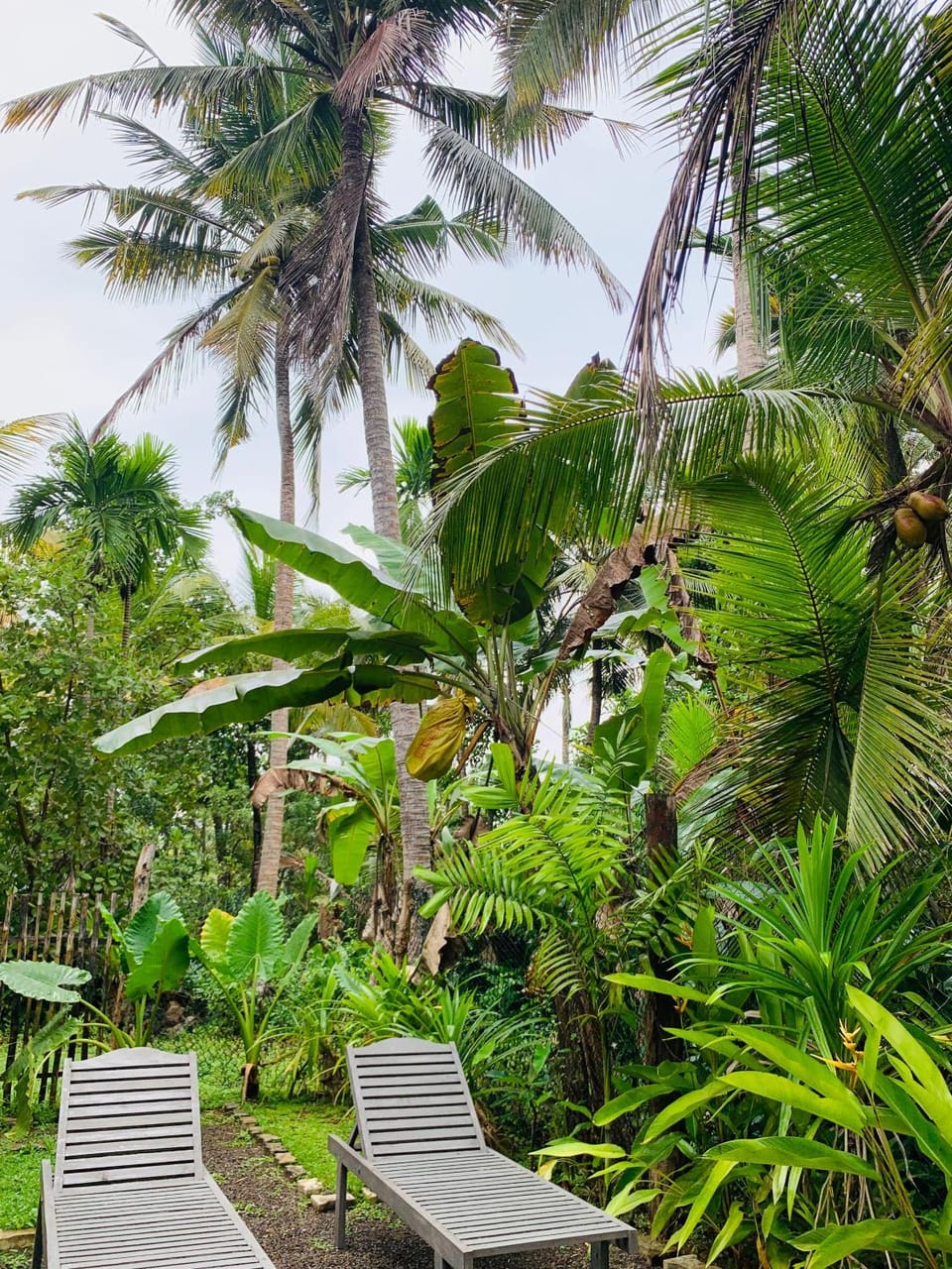 Natural landscape, Garden, Garden view