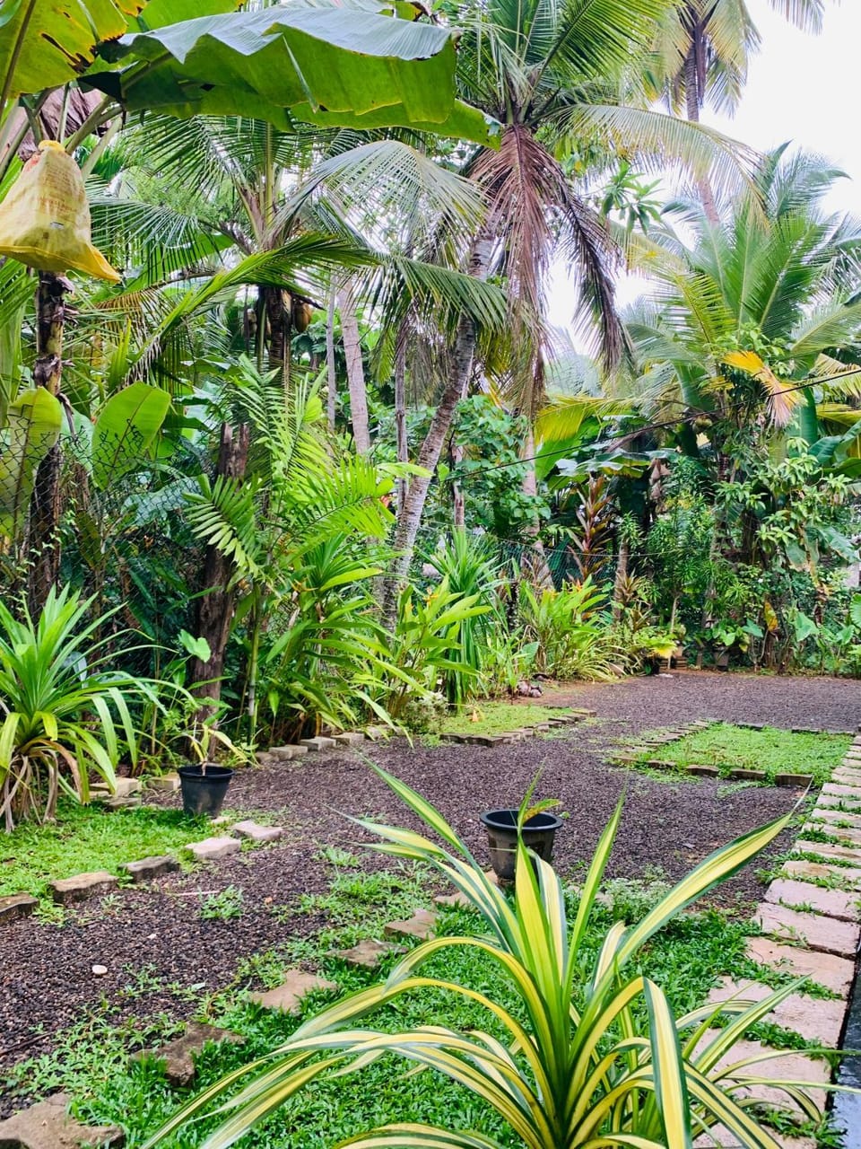 Natural landscape, Garden, Garden view