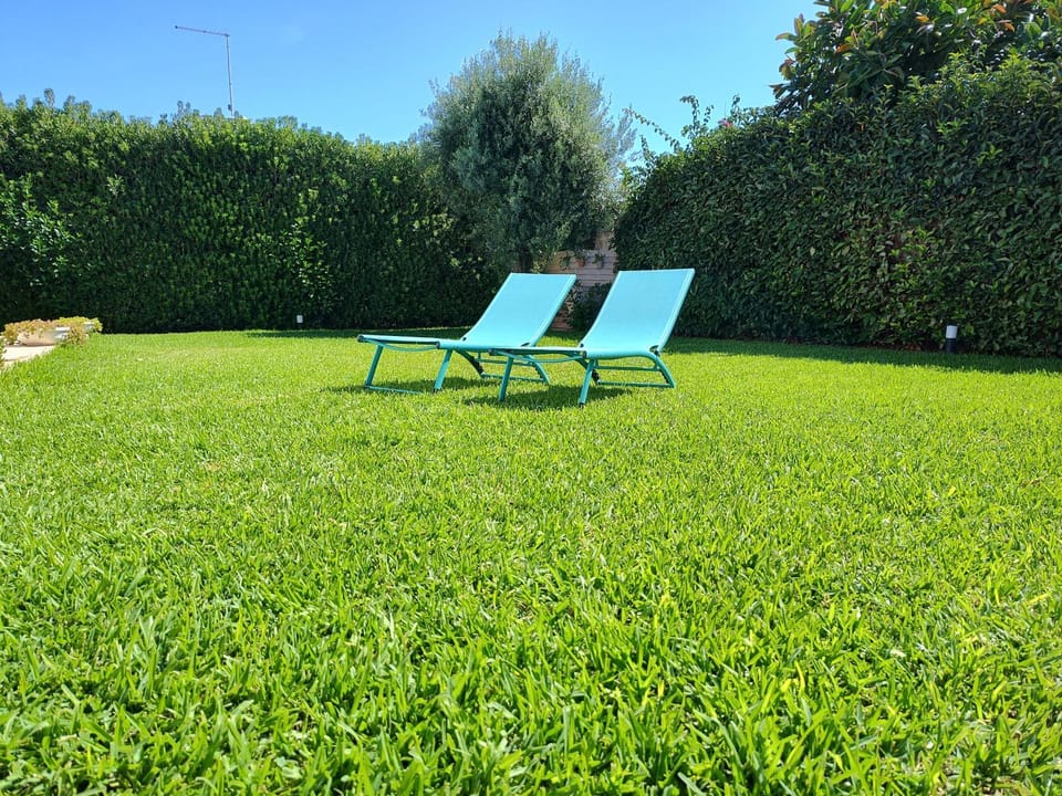 Day, Natural landscape, Garden, Garden view, sunbed