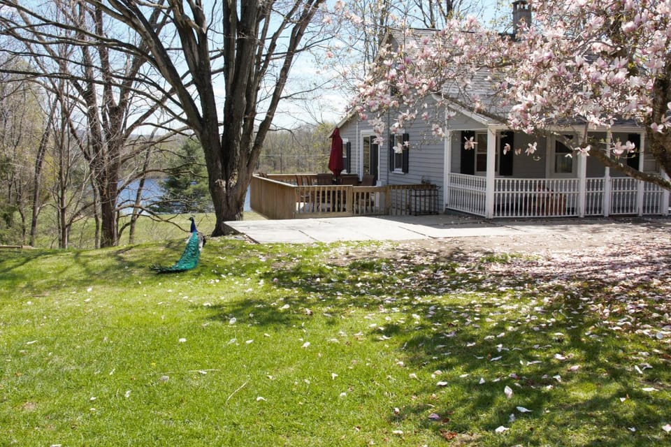 Property building, Spring, Natural landscape