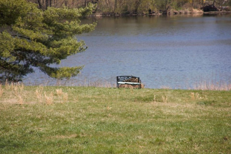 Natural landscape, Seating area, On site, Lake view