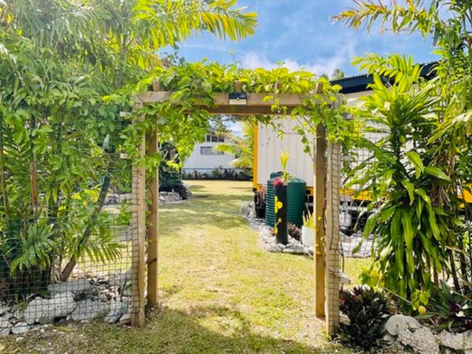 Garden view
