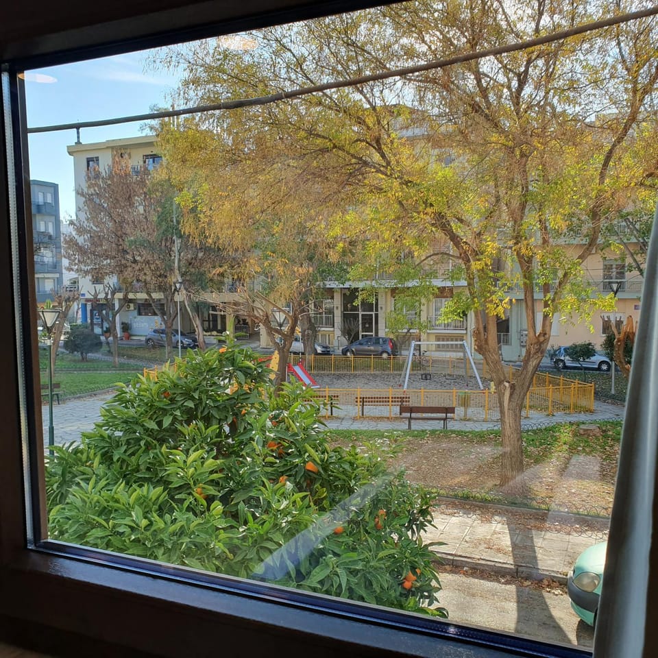 Day, Garden, Garden view