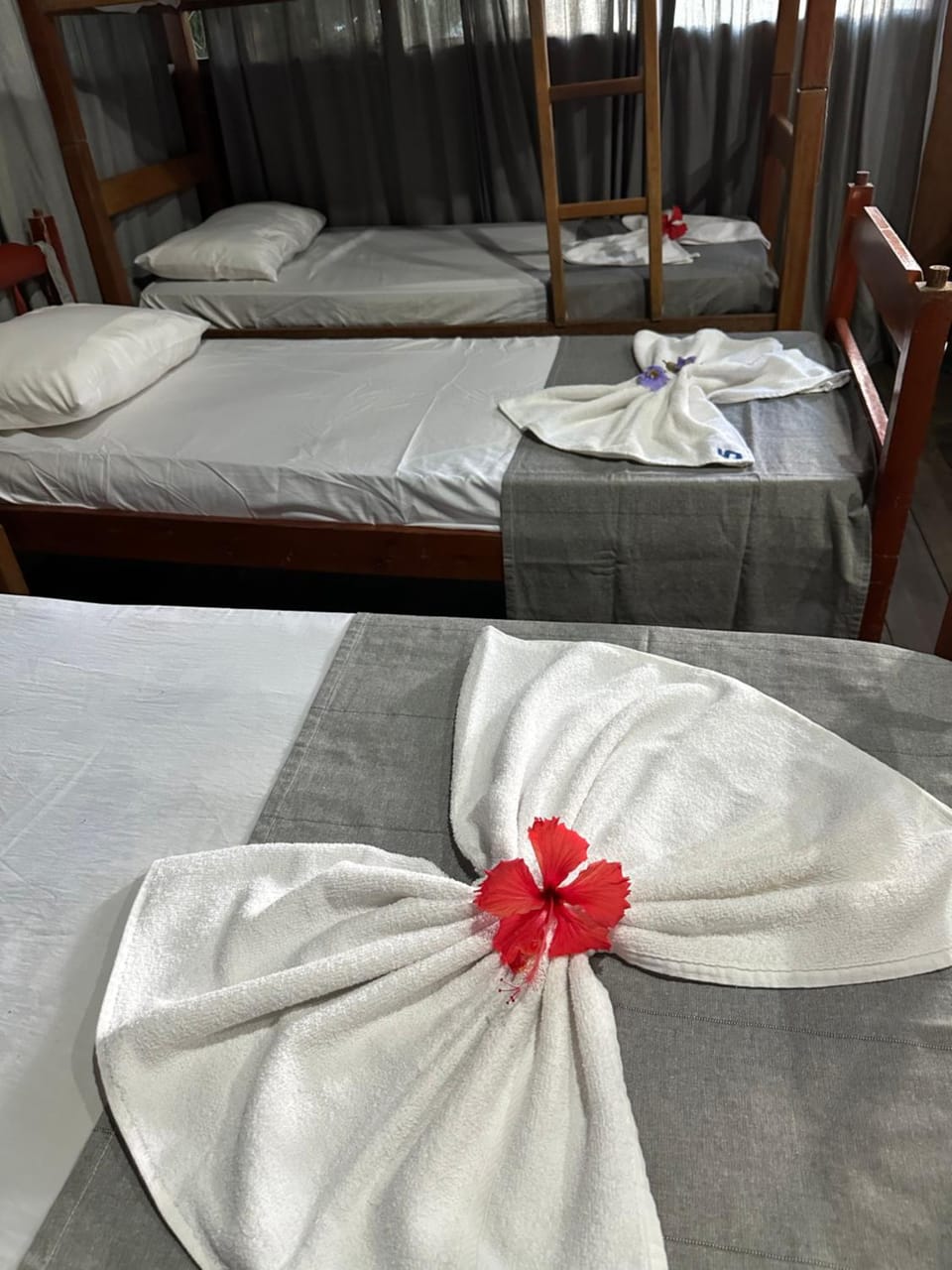 Vila Hashigute - HOSTEL FEMININO e Chalés Privativos Vacation rental in Arraial d'Ajuda