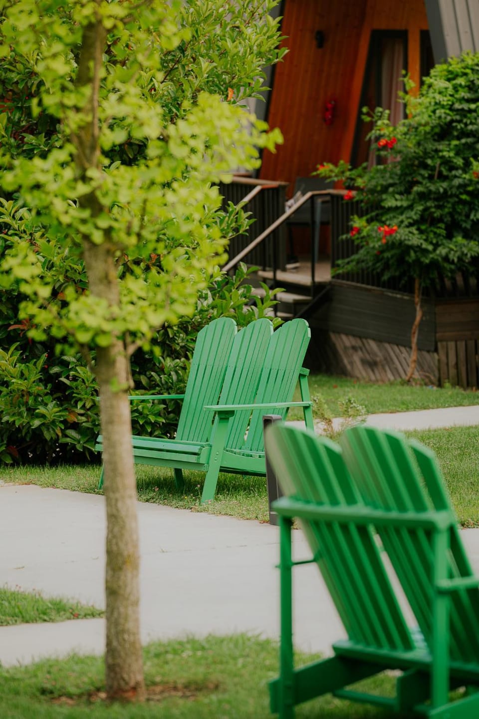Spring, Day, Natural landscape, Garden, Garden view