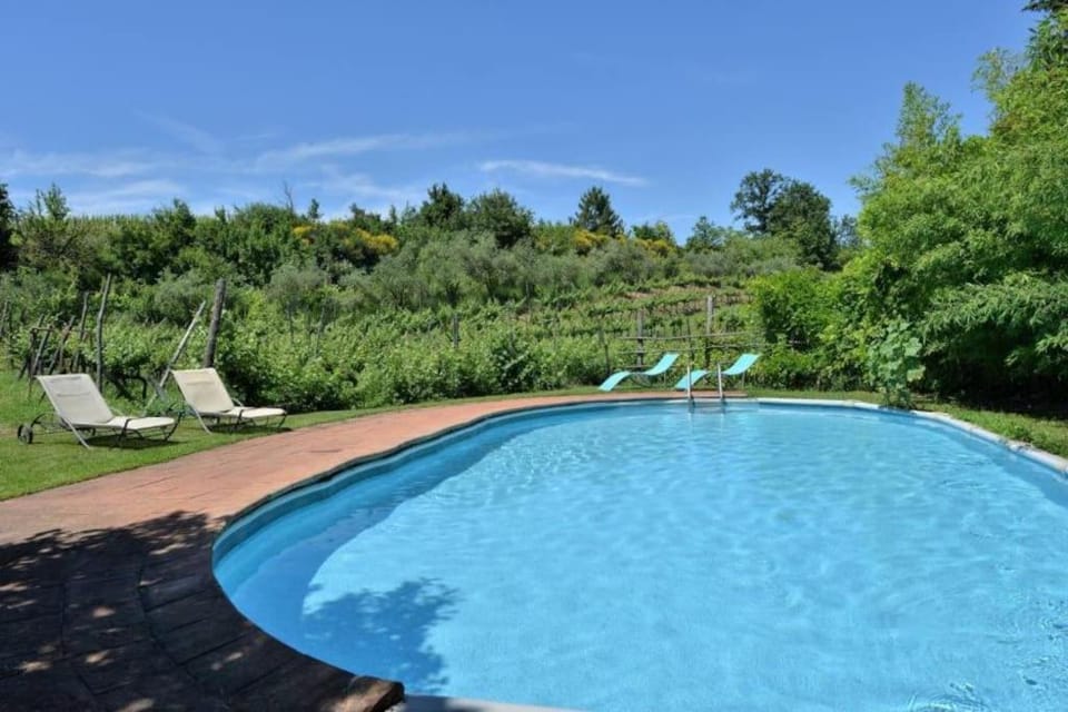 Natural landscape, Garden, Swimming pool
