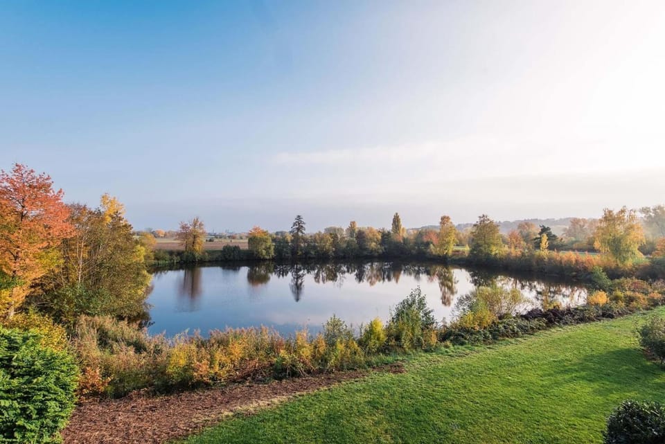 Lake view