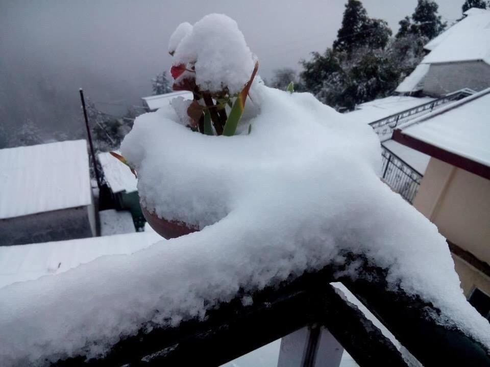 Calm Paradise Vacation rental in Shimla