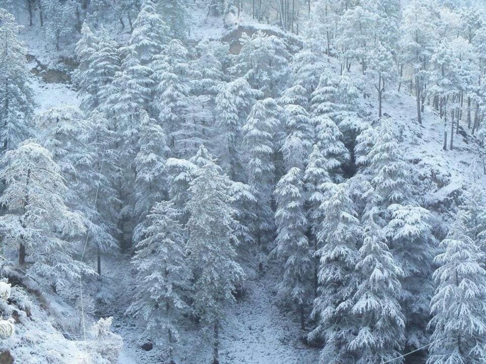 Calm Paradise Vacation rental in Shimla