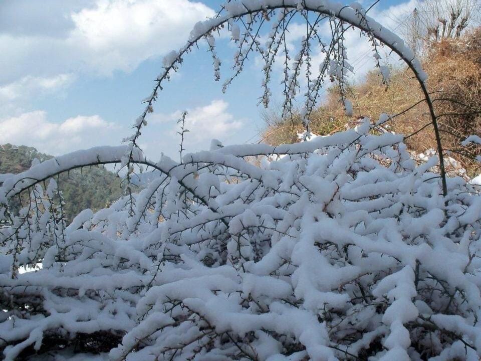 Calm Paradise Vacation rental in Shimla