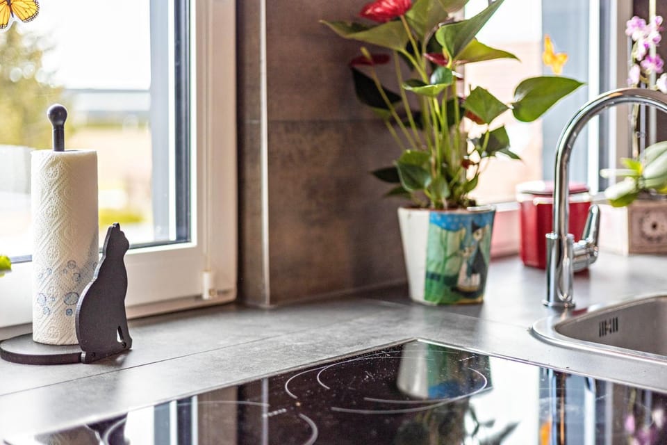 Elli Apartment in Baden-Württemberg