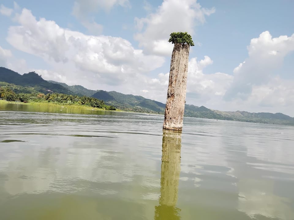 Natural landscape