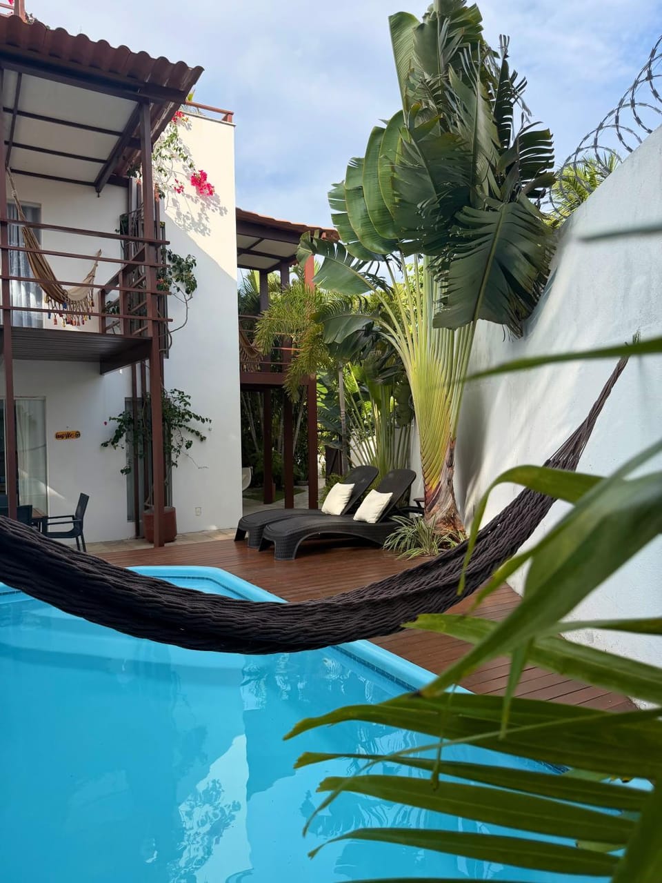 Garden, Pool view, sunbed