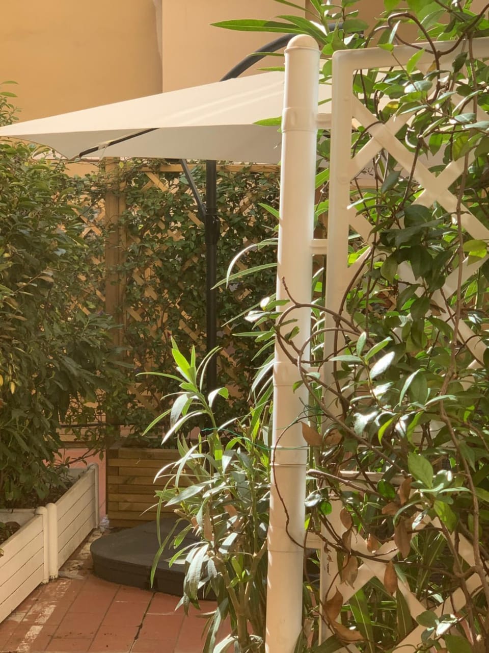 UGO BASSI LUX apartment Apartment in Bologna
