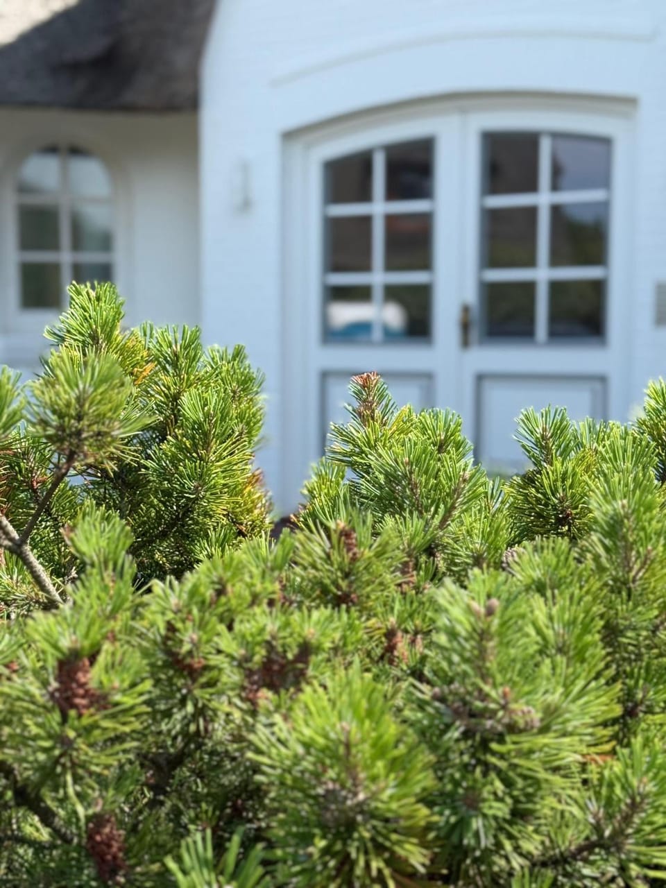 Ocean-View-II-Holiday-Apartments-Sylt Apartment in Westerland