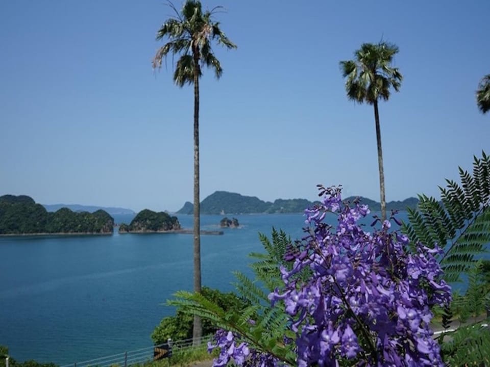 fan! -ABURATSU- Sports Bar & HOSTEL - Vacation STAY 78456v Hotel in Japan
