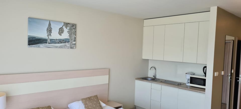 Apartamenty Czarna Góra S8 Apartment in Lower Silesian Voivodeship
