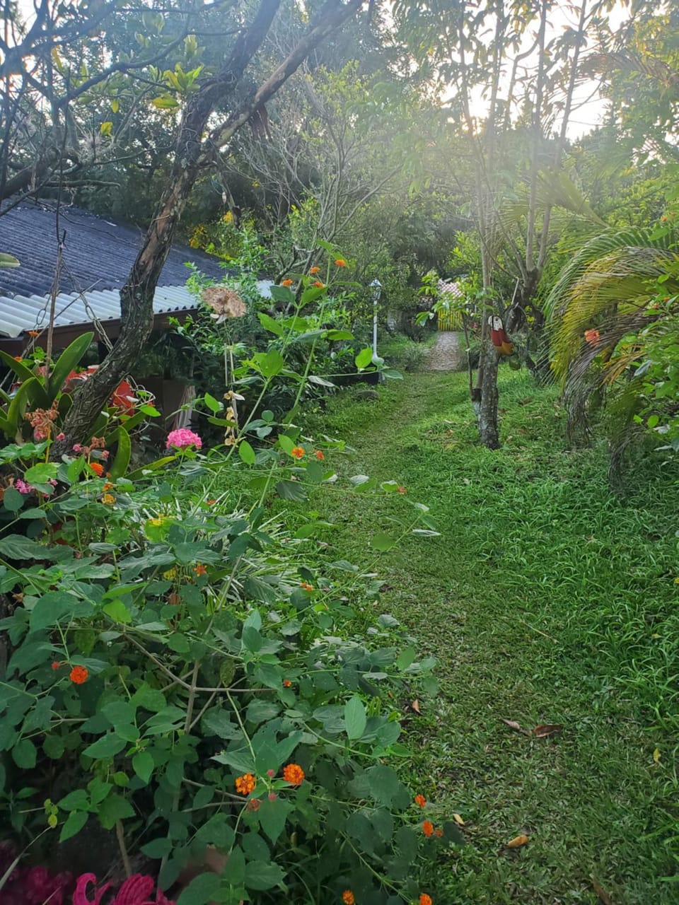 Garden view, Swimming pool