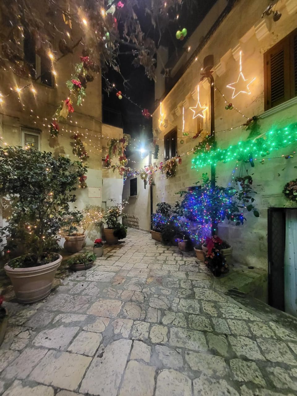 Inner courtyard view