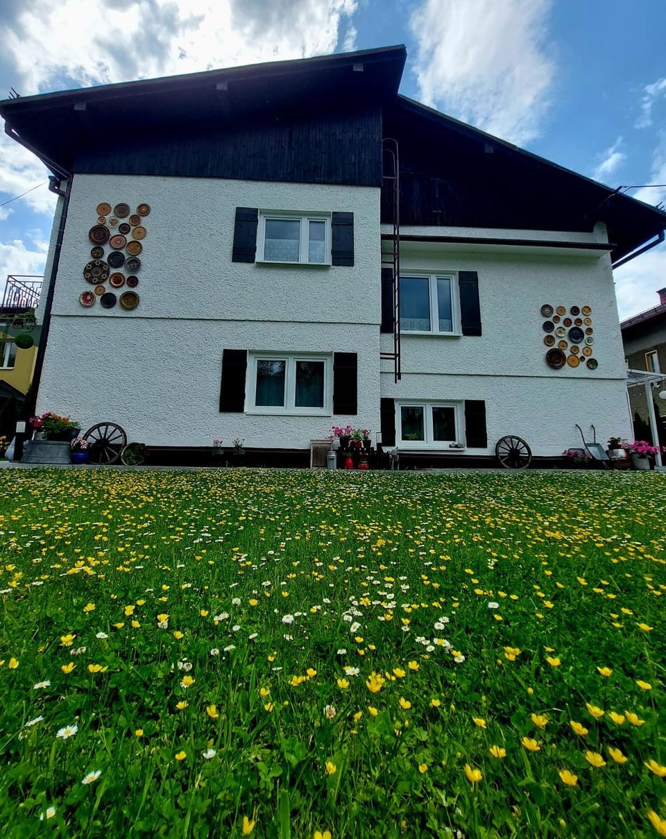 Property building, Spring, Day, Garden, Garden