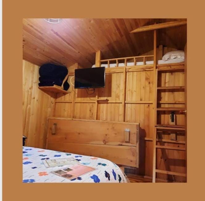 Bed, TV and multimedia, Bedroom