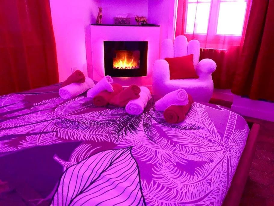La lover’s jungle Apartment in Bourgogne-Franche-Comté