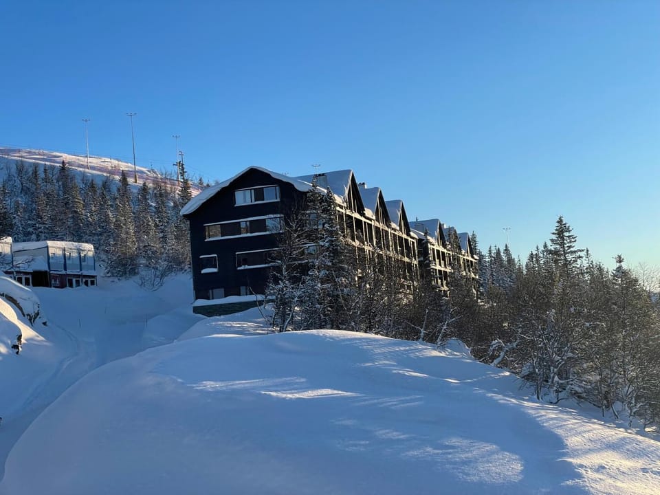 Property building, Winter