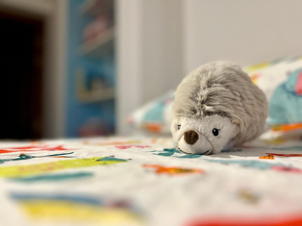 La ferme du Ravet - Gîtes aux Lacs de l'Eau d'Heure House in Wallonia, Belgium