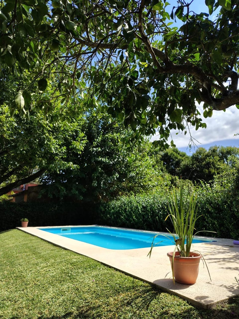 Los jazmines de Duggan House in Buenos Aires Province