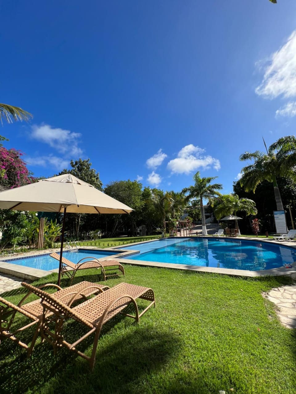 Day, Natural landscape, Garden, Garden view, Pool view, Swimming pool, Swimming pool, sunbed