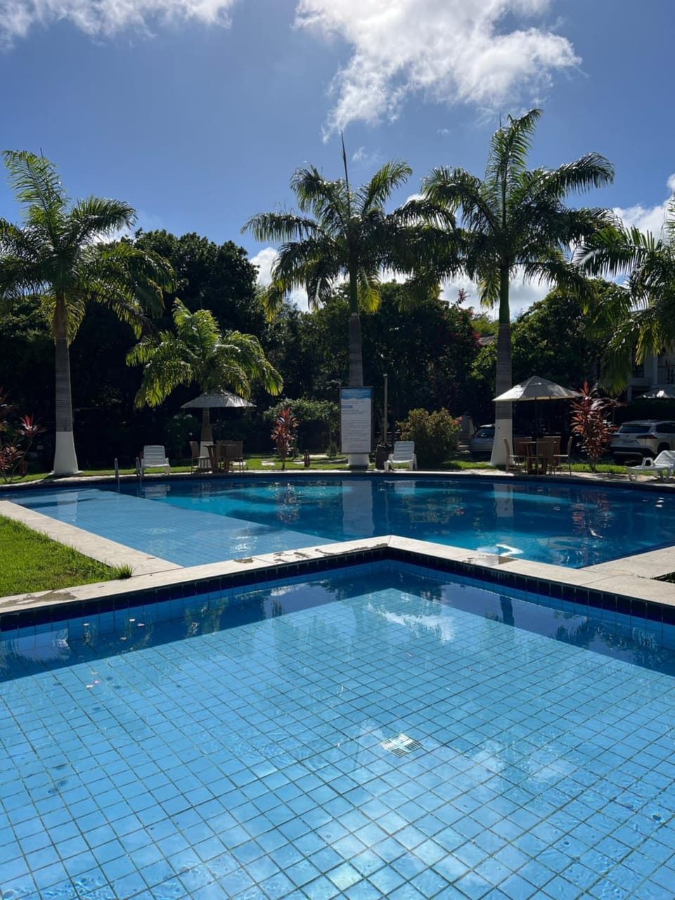 Day, Garden, Garden view, Pool view, Swimming pool, Swimming pool, sunbed