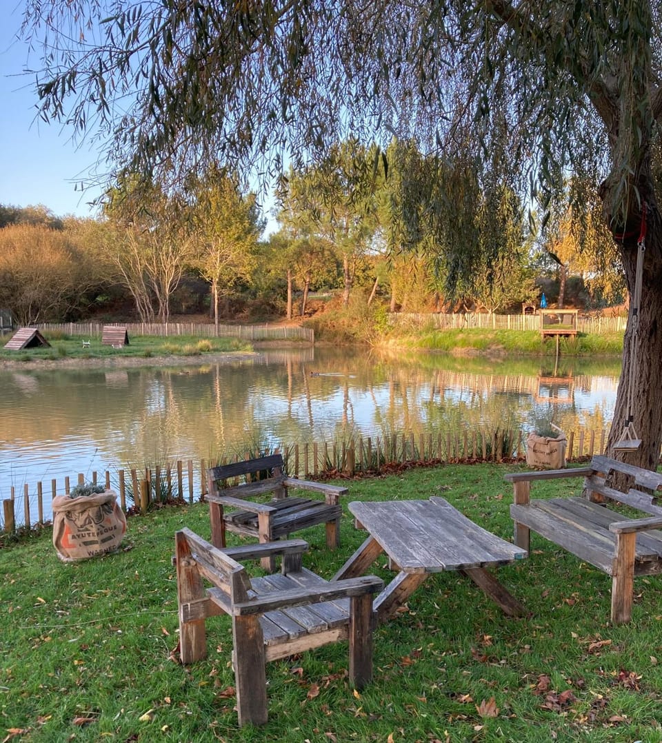 Natural landscape, Garden view, Lake view